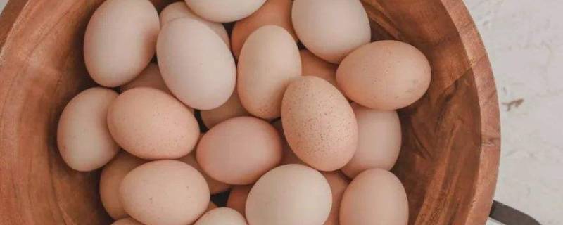 鸡蛋零下几度会冻坏（鸡蛋在零下几度会冻坏）