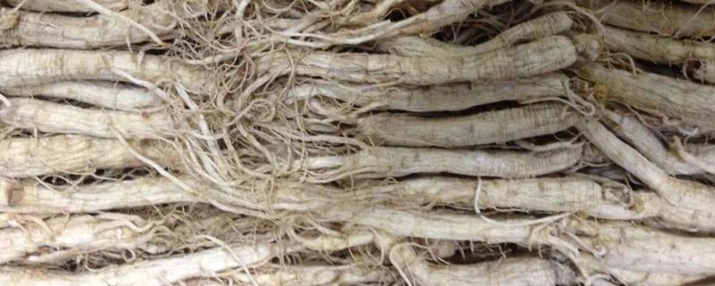 人参是什么味道 人参是什么味道?