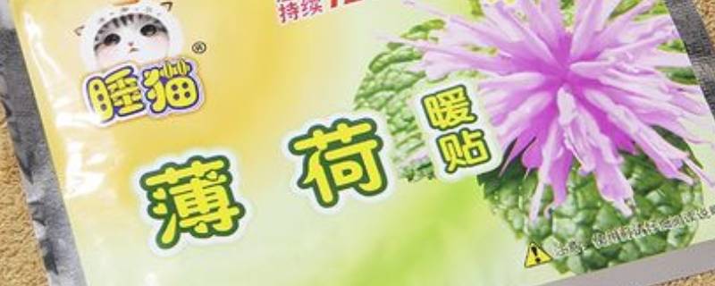 薄荷贴是干嘛用的 薄荷贴是什么