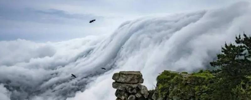 庐山云雾的两大特点是什么 庐山的云雾有哪两个特点