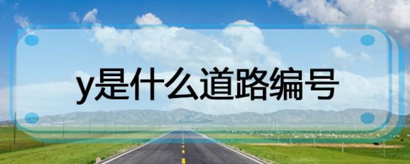 y002标志是什么含义 Y0002是什么标志