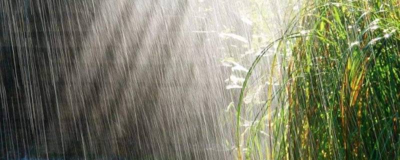 梅雨是对流雨还是锋面雨 对流雨与锋面雨的区别