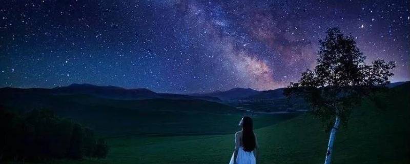 仲夏夜的爱情寓意 仲夏之夜的含义