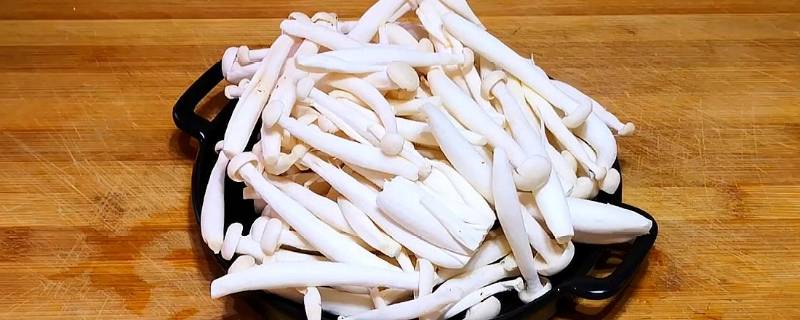 白玉菇需要焯水吗（白玉菇需要用水焯一下吗）