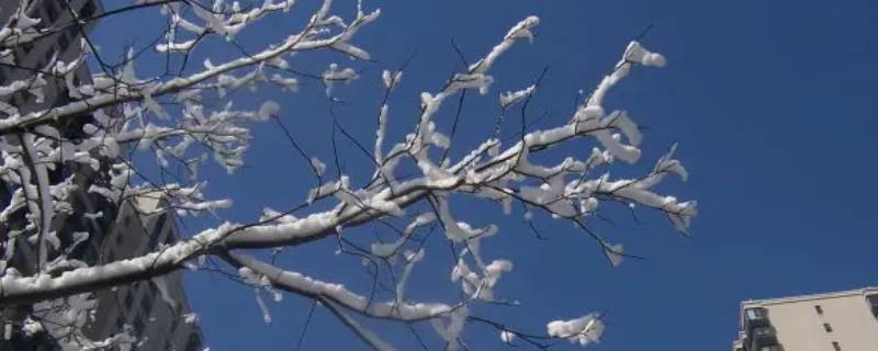 3度会不会下雪 几度才会下雪