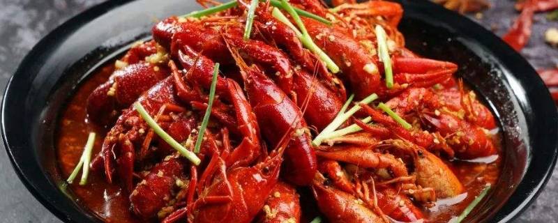 红色的虾是什么虾 生的是红色的虾是什么虾