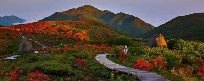 大围山是哪个省 围山是哪个省的