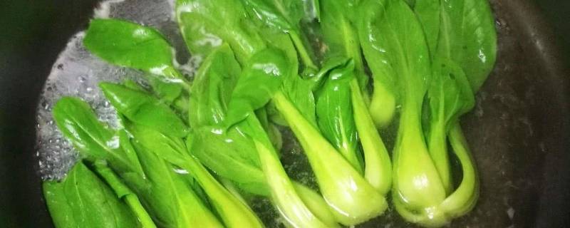 用水焯一下是什么意思（用开水焯一下是什么意思）