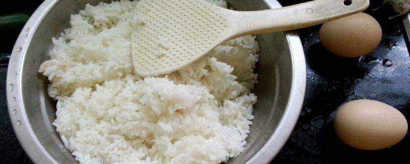剩饭放在冰箱里能放几天（剩饭放冰箱里可以放几天）