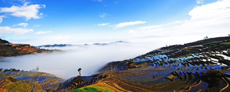 哀牢山为什么神秘 哀牢山有多大