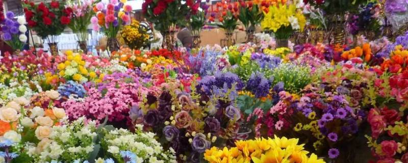 花市是什么 花市是什么网站