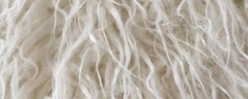 羊绒衫能烘干吗 羊毛衫羊绒衫可以烘干吗