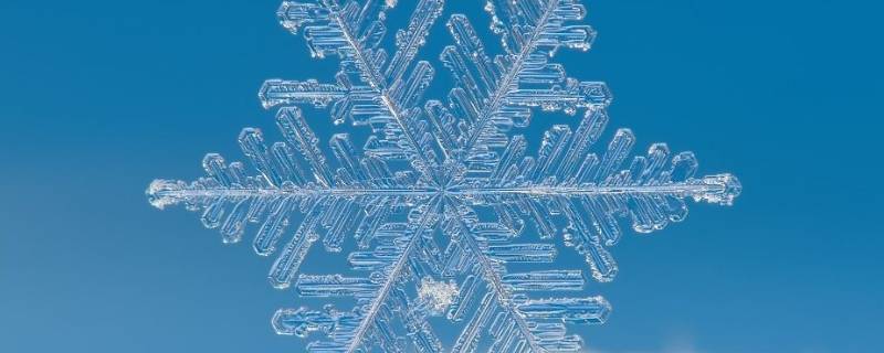 雪籽和雪花区别 雪粒子和雪花的区别