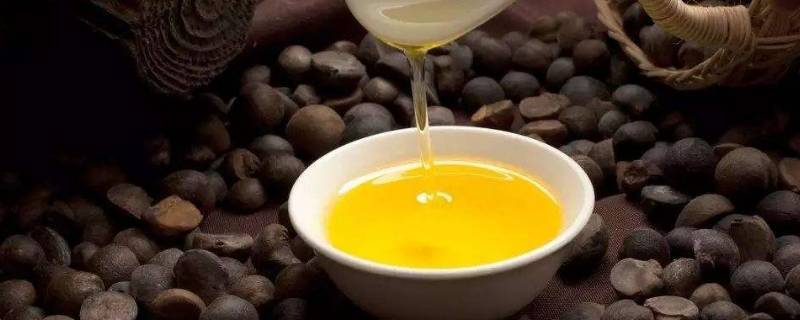 茶油怎么保存才不会坏 茶油怎样保存不会坏