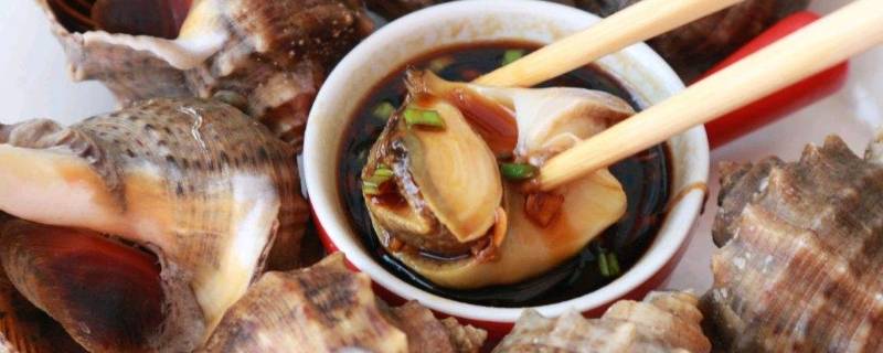 海螺蒸还是煮 海螺蒸还是煮好吃