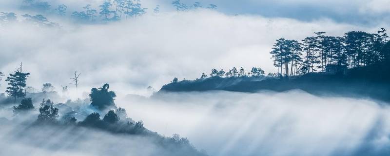 冬天什么情况下会起雾（为什么冬天会起雾简单的解释）