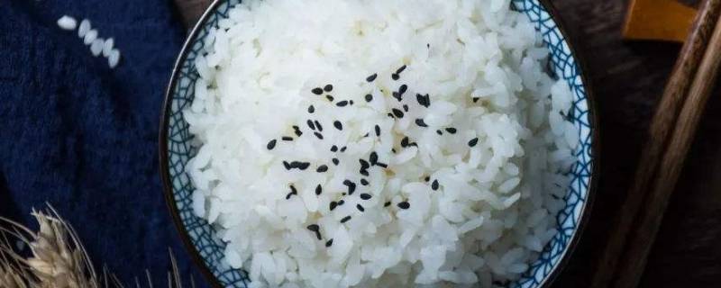 冬天米饭可以放多久（冬天白米饭可以放多久）