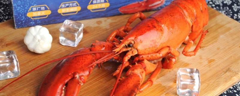 波士顿龙虾能放冰箱冷冻吗（冷冻的波士顿龙虾可以吃吗）
