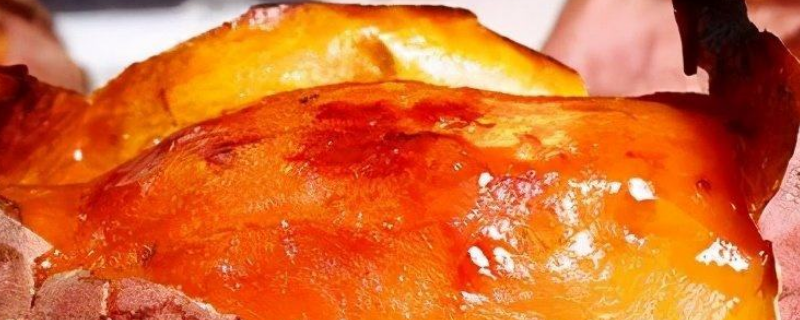 红薯能放微波炉加热吗 红薯能直接放微波炉加热吗