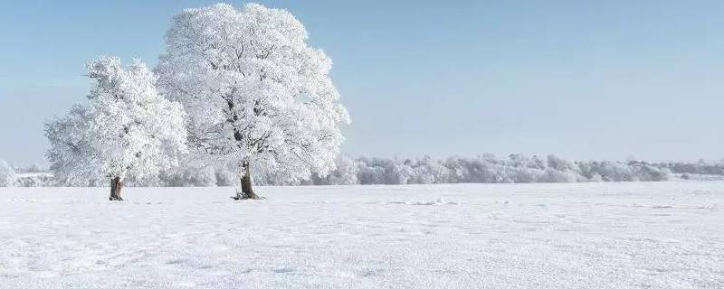 为什么雪下到地上就化了 雪下地上为啥就化了