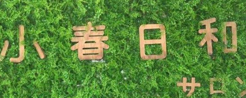 小春日和寓意什么（小春日是什么意思）