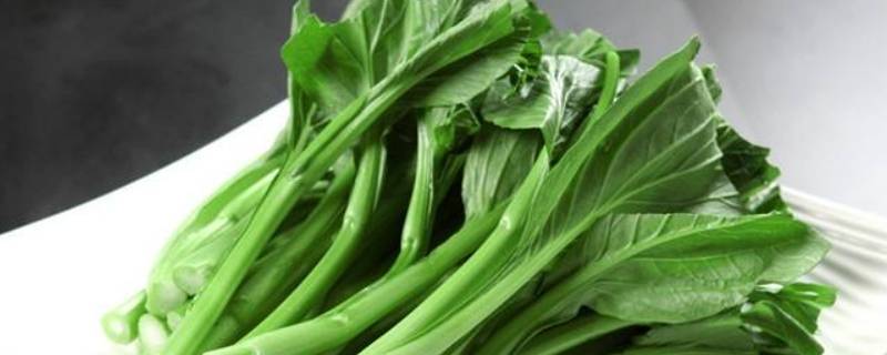 新鲜绿叶菜可以在冰箱里保存多久 新鲜绿叶菜可以在冰箱里保存多久啊