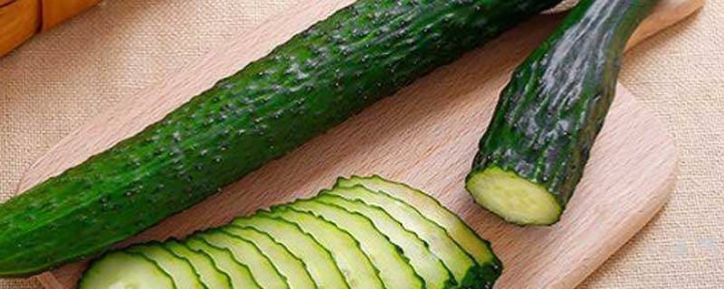 青瓜是什么 青瓜是什么味道