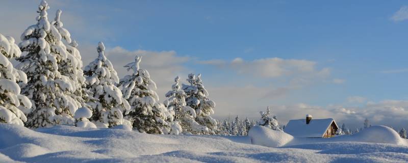冬天别称 冬天别称一个字