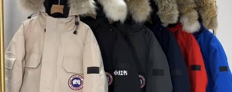 羽绒服有鸭腥味怎么去除 羽绒服买回来有鸭腥味怎么处理