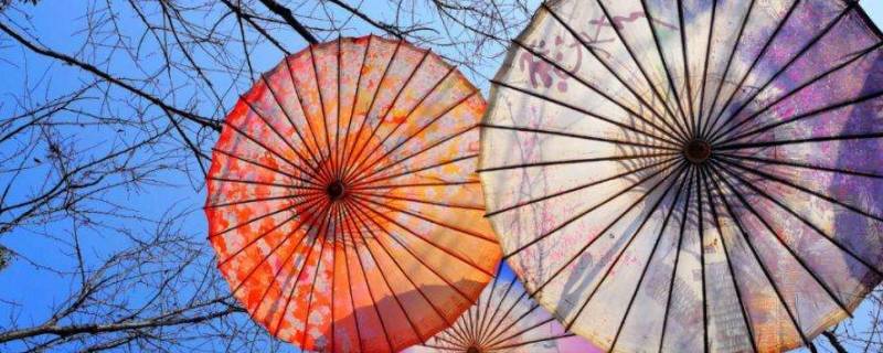 油纸是什么纸 烘焙油纸是什么纸