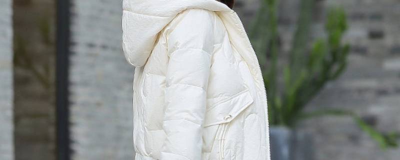 羽绒服淋雨了怎么办 羽绒被淋雨了怎么办