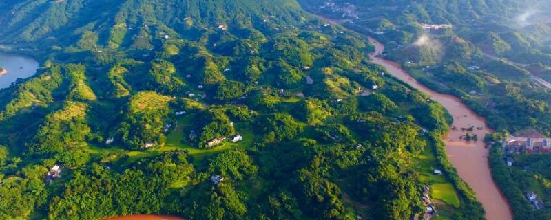 四川盆地以什么为主（四川盆地以什么为主食）