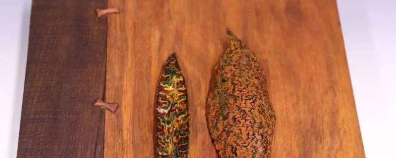 生柿漆和熟柿漆区别（熟柿漆和生柿漆的区别）