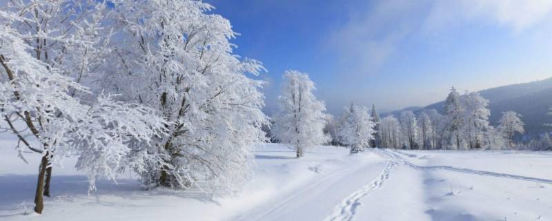 为什么不下雪（北京为什么不下雪）