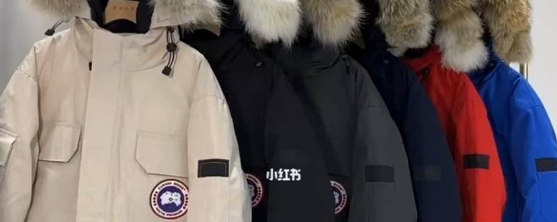 羽绒服需要用专门的洗涤用品吗 羽绒服需要用专门的洗涤用品吗知乎