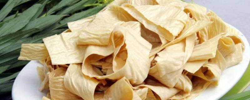 豆皮能不能冷冻保存（豆皮可以冻冰箱吗）