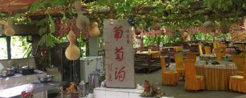 新疆葡萄沟出产的水果有哪些 葡萄沟生产的水果有哪些