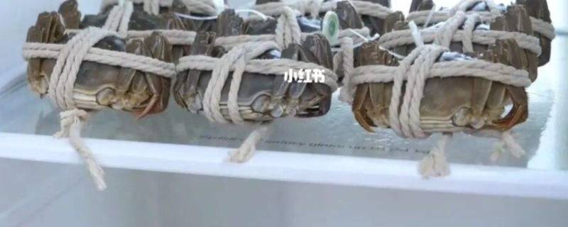 生河蟹怎么保存时间长（河蟹保存多久）
