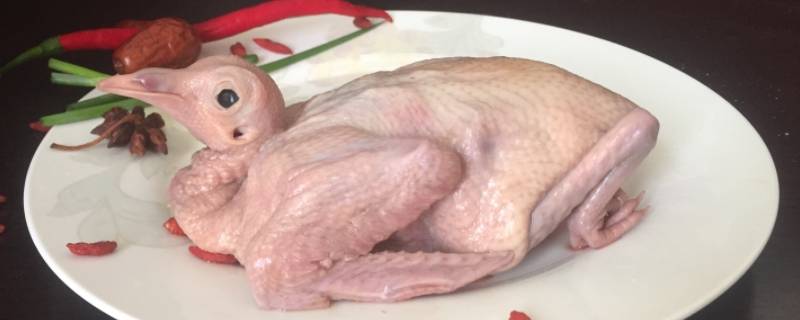 鸽子杀了冰箱冷冻能放多久 杀好的鸽子放冰箱保鲜3天还能吃吗