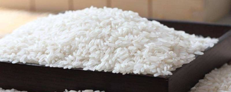 大米1354和19266有什么区别 大米19266和1354的区别