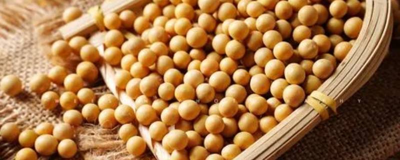 适合长期储存的食物 便于长期储存的食物