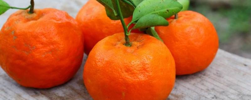 橘子储存怕冷还是怕热 橘子怕冷吗