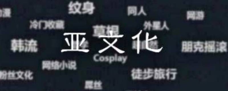 亚文化包括哪些 亚文化有哪些