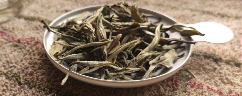 白茶不经过哪种工序（白茶的重要工序）