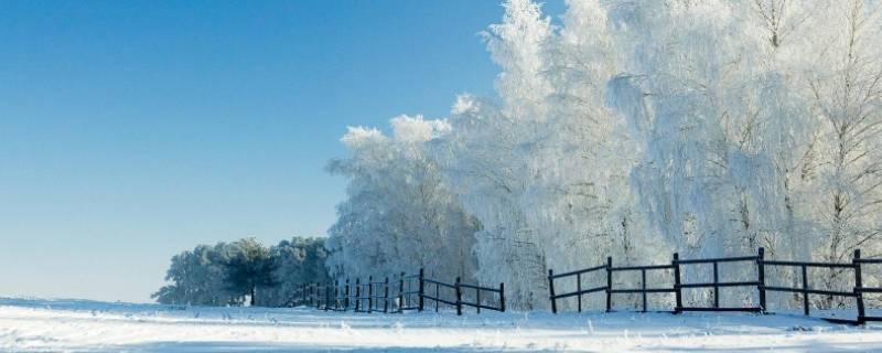 形成降雪必须具备哪些条件 进行人工降雪的必要条件是什么