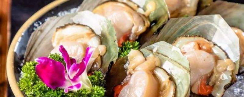 雪花带子是什么（雪花带子是什么肉）