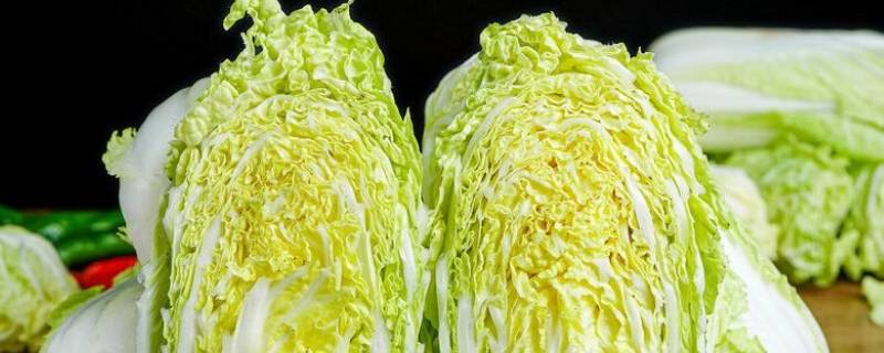 白菜有哪几种（白菜有哪几种吃法）