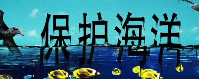 保护海洋的标语（保护海洋的标语有哪些）