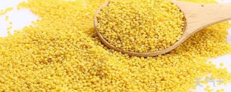 黄米汤圆是什么米做的（黄米汤圆是用什么做的）