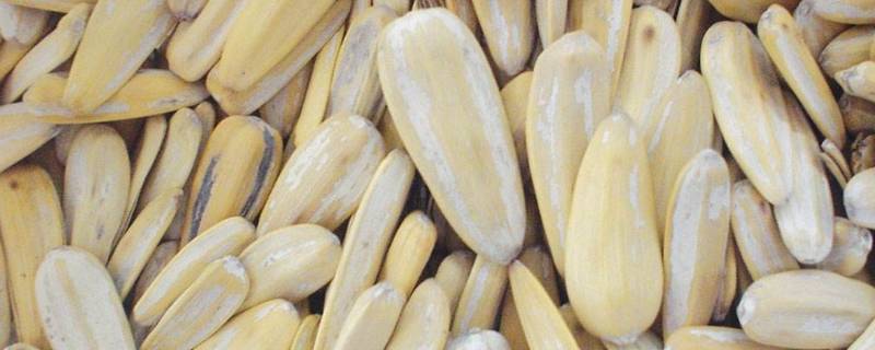 瓜子受潮不脆了小妙招（南瓜子受潮不脆了小妙招）